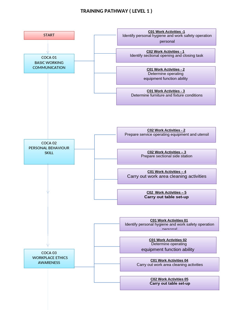 05c Trainning Pathway Copy Level 1 | PDF | Public Health | Hygiene