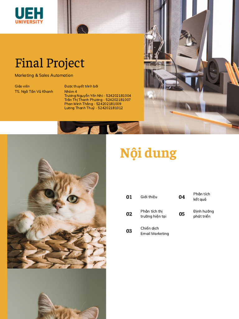 Final Project | PDF