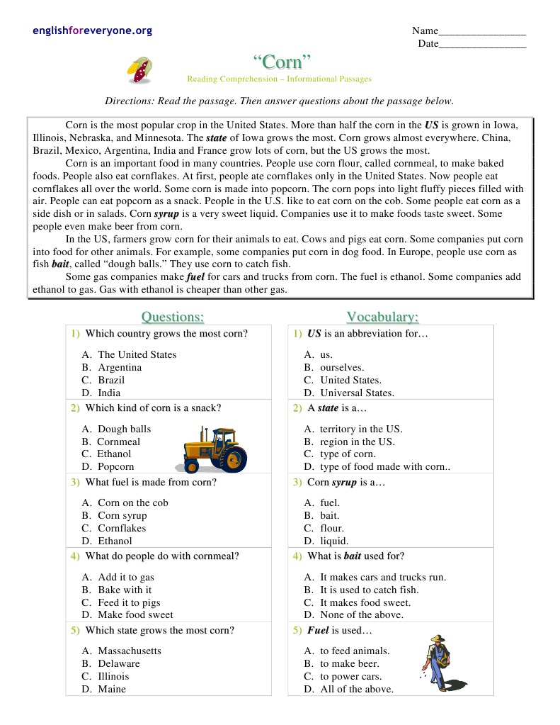 Corn Facts for Young Learners | PDF | Maize | The United States