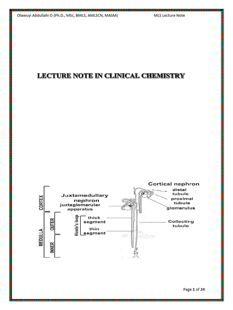 Renal Function Test Fuo | PDF | Creatinine | Kidney