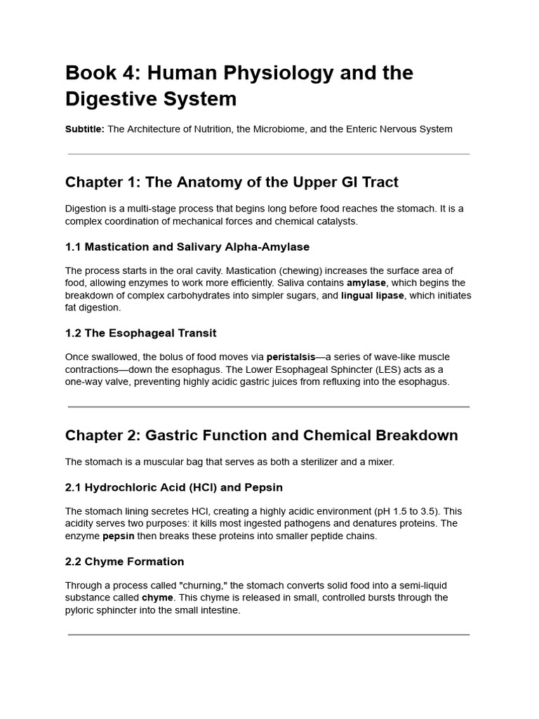 Human Physiology and The Digestive System | PDF | Digestion | Stomach