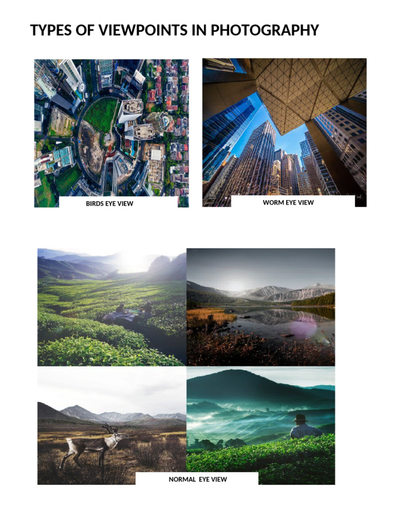 Types of Viewpoints in Photography | PDF