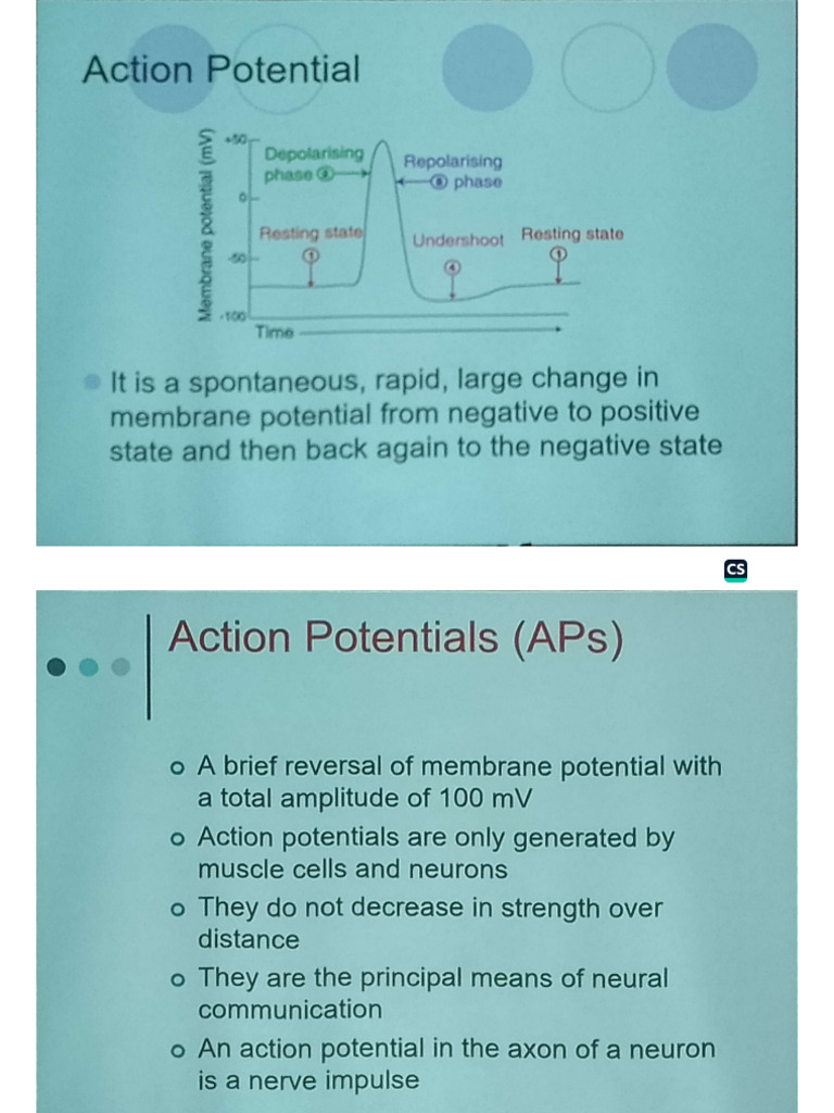 (Physiology) Action Potential by DR - Muzaffer | PDF
