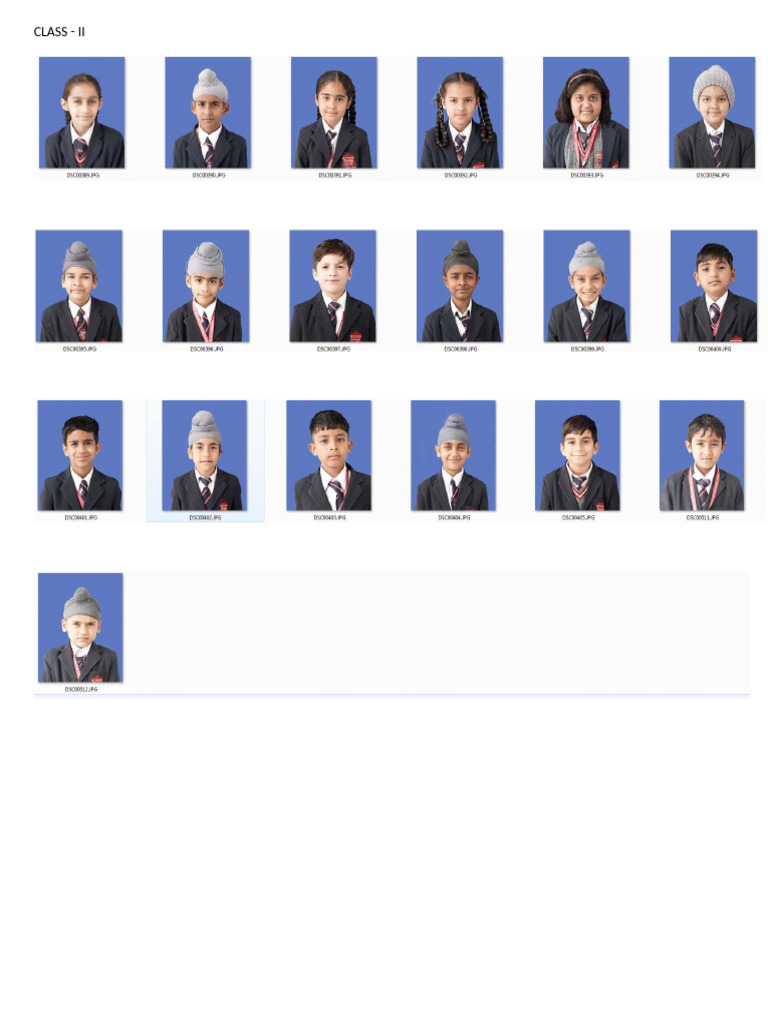 Class Ii | PDF