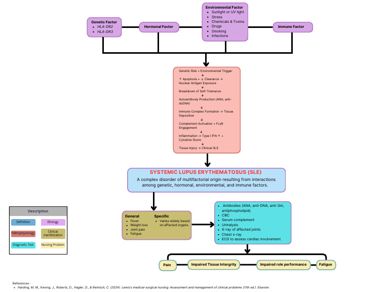 Systemic Lupus Erythematosus - Pathoflow | PDF | Medical Specialties ...