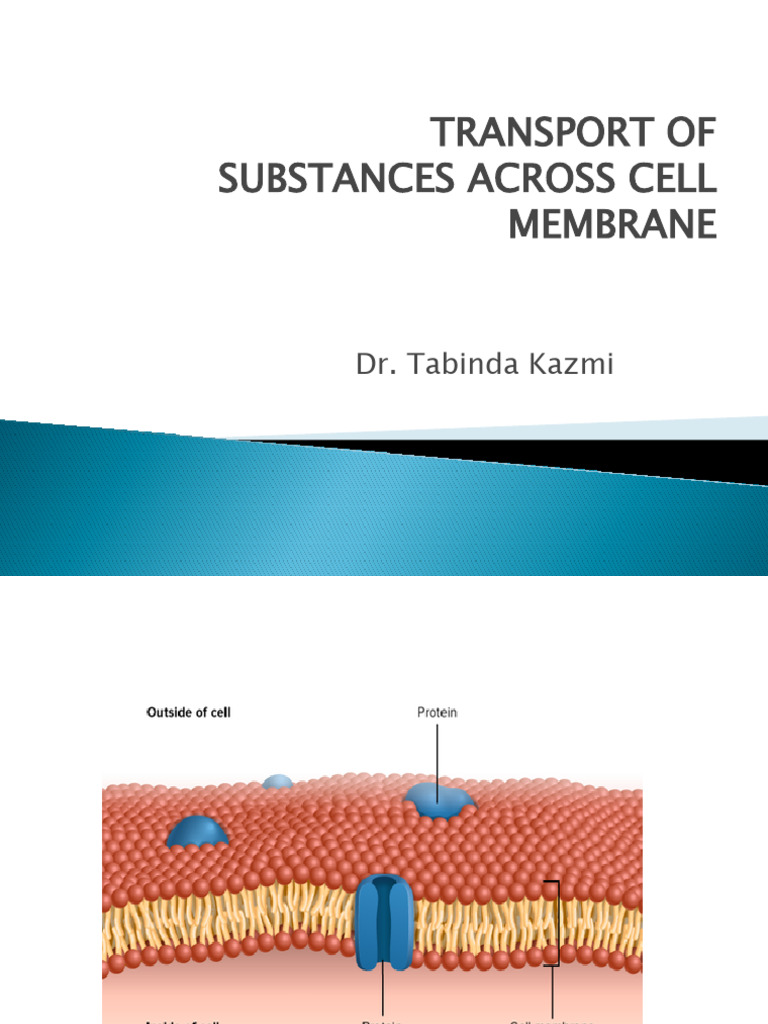 Transport Across Cell Membrane | PDF | Ion Channel | Osmosis