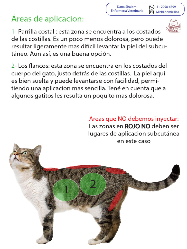Aplicacion PIF | PDF