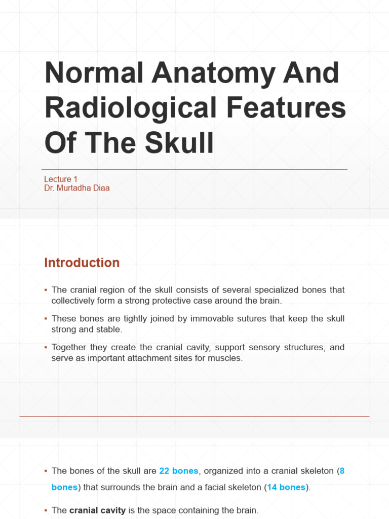 Lec 1 Normal Anatomy and Radiological Features of The Skull | PDF ...