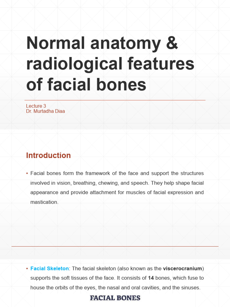 Lec 3 Normal Anatomy & Radiological Features of Facial Bones | PDF ...