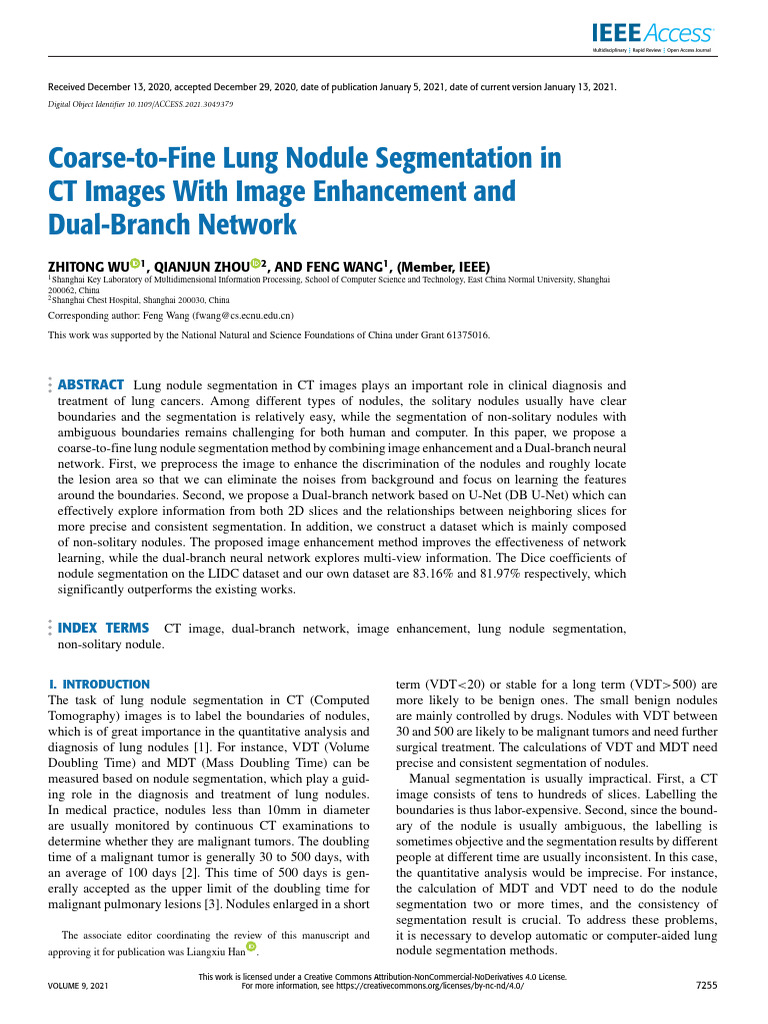Coarse-to-Fine Lung Nodule Segmentation in CT Images With Image ...