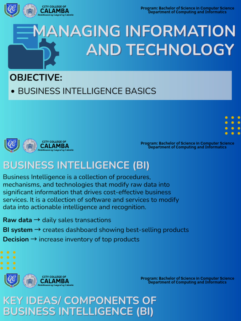 Lesson 4 Business Intelligence Basics | PDF