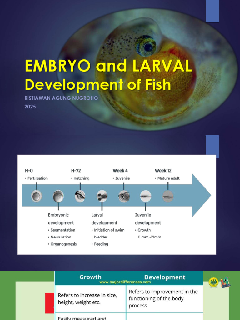 EMBRYO Development of Fish 2025 | PDF | Embryo | Change