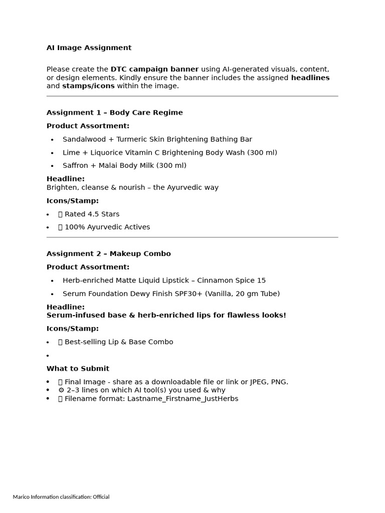 AI Image Assignment - Brief | PDF