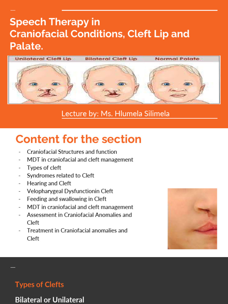 UFH CranioF and Clefting Lecture 2 | PDF | Human Anatomy | Diseases And ...