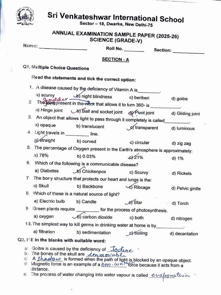 Final Sample Paper Grade 5 Answer Keys | PDF | Gases