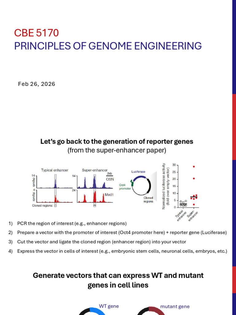 Lecture12 Feb26 | PDF | Molecular Cloning | Vector (Molecular Biology)