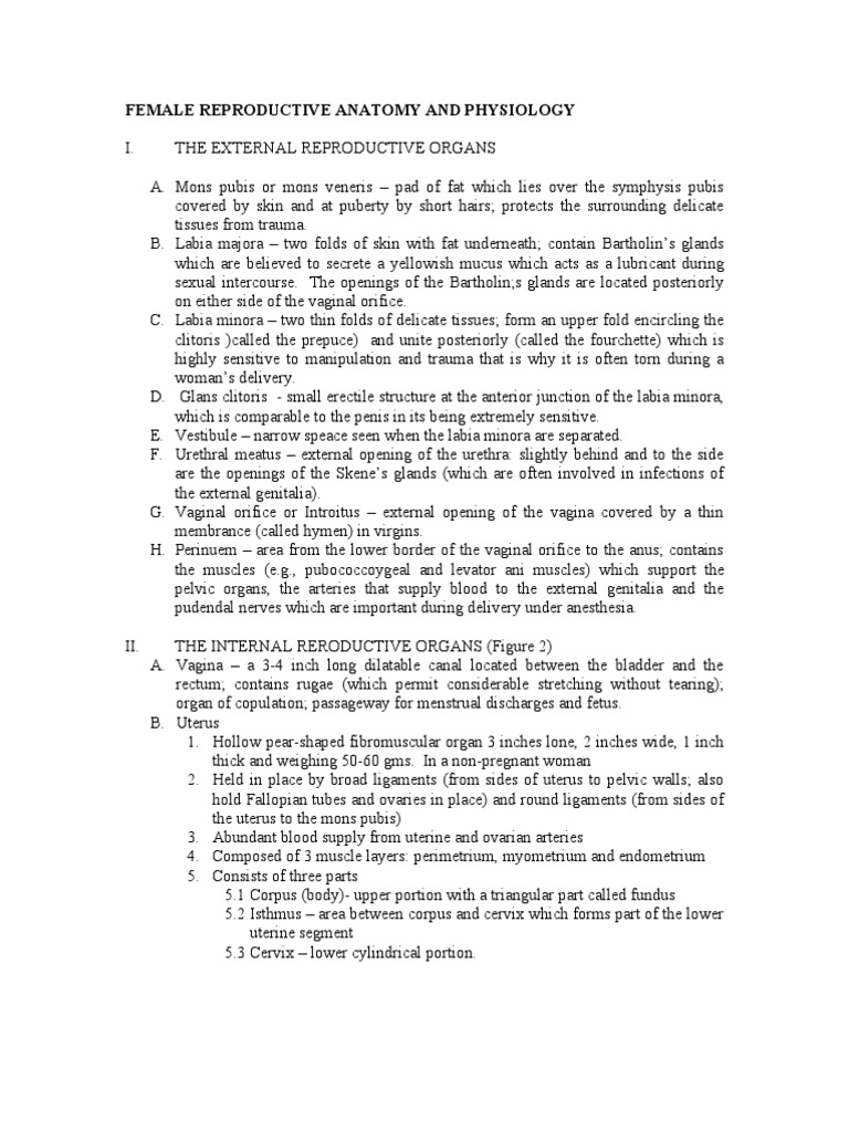 Maternal and Child Health Nursing Menstrual Cycle