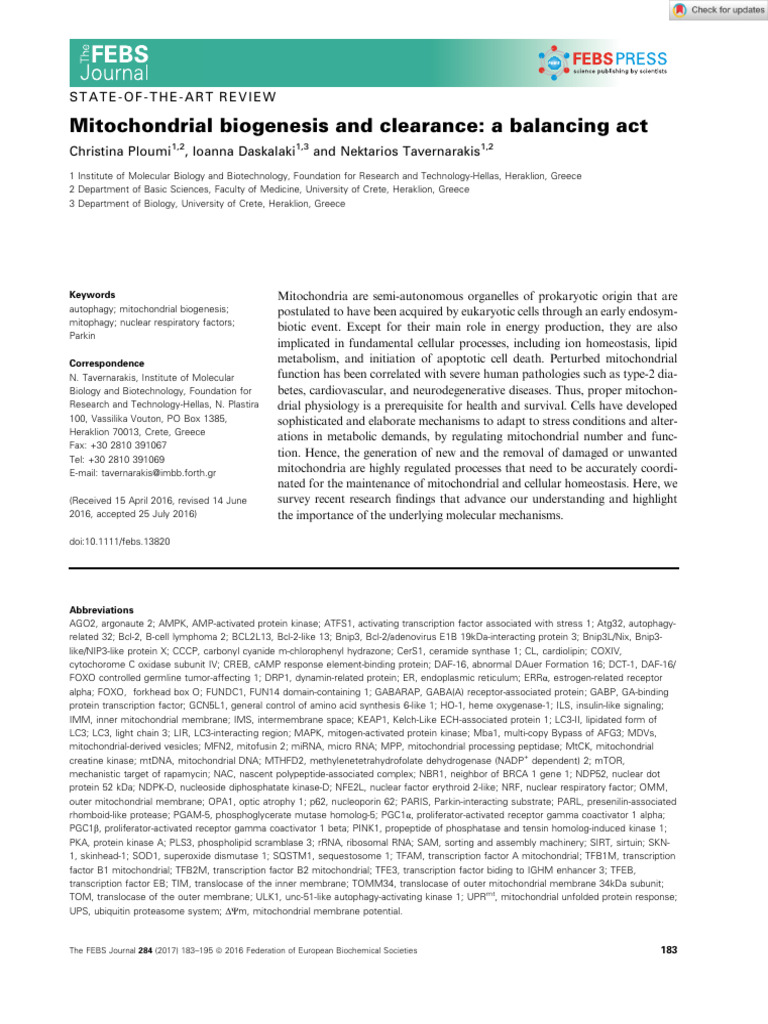 Mitochondrial Biogenesis and Clearance A Balancing Act - 2016 | PDF ...