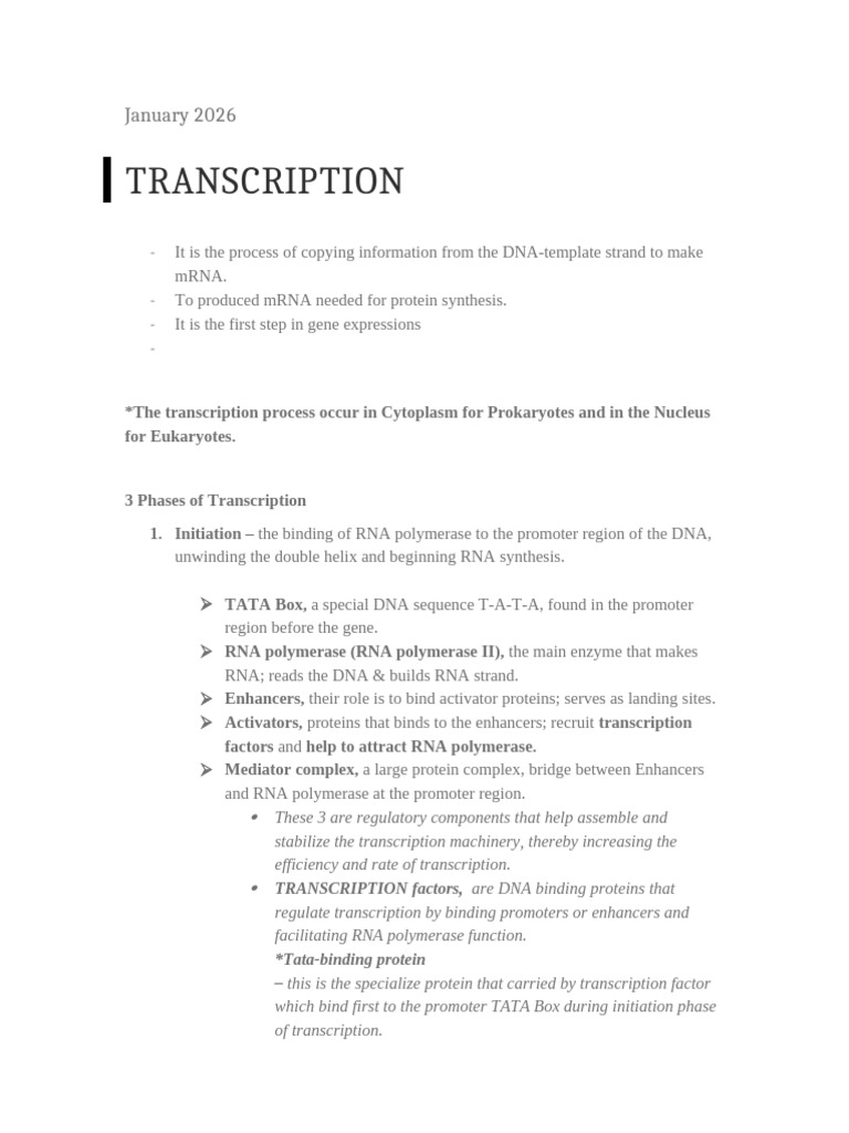 Transcription Content Paper | PDF | Rna | Messenger Rna