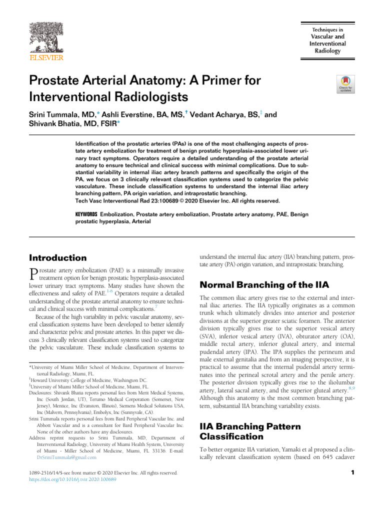 Techniques Vascular IR Prostate Arterial Anatomy A Primer For ...