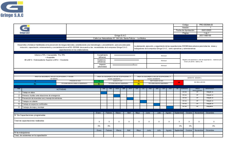 6.2 Programa Anual de Capacitaciones en Seguridad | PDF | Planificación