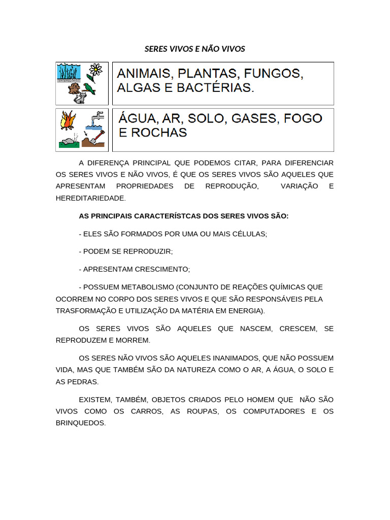Seres Vivos e Não Vivos | PDF