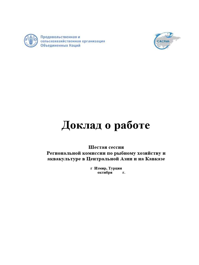 Report R | PDF