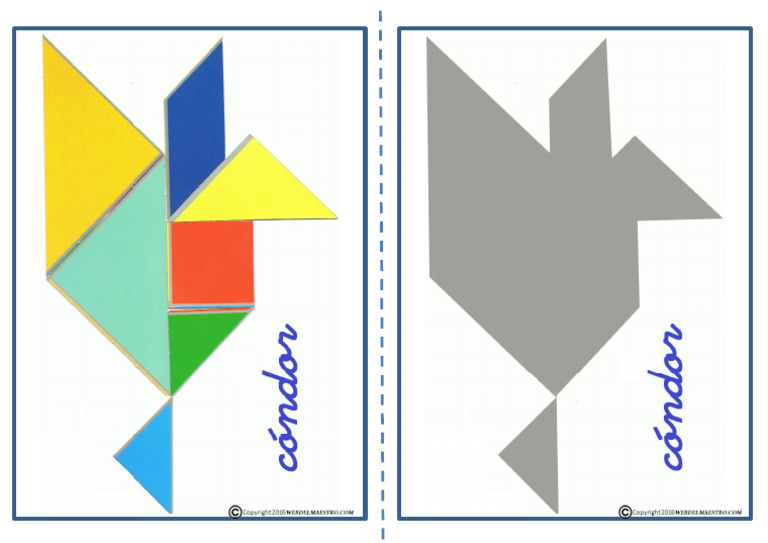 Cóndor Color y Opaco | PDF