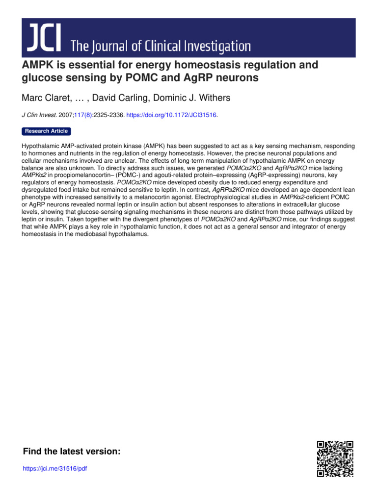 AMPK Is Essential For Energy Homeostasis Regulation | PDF ...