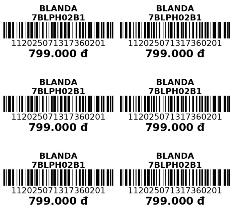 Barcode - 2026 02 06 - 16 57 57 | PDF