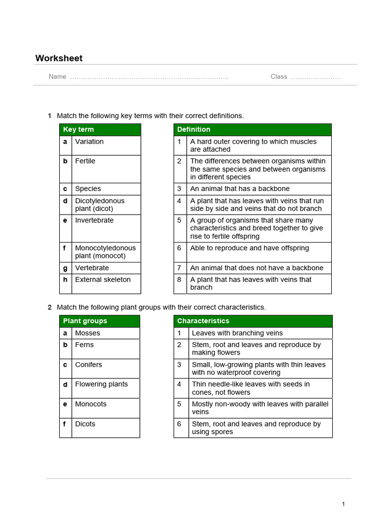 Worksheet - 1 | PDF | Leaf | Plants