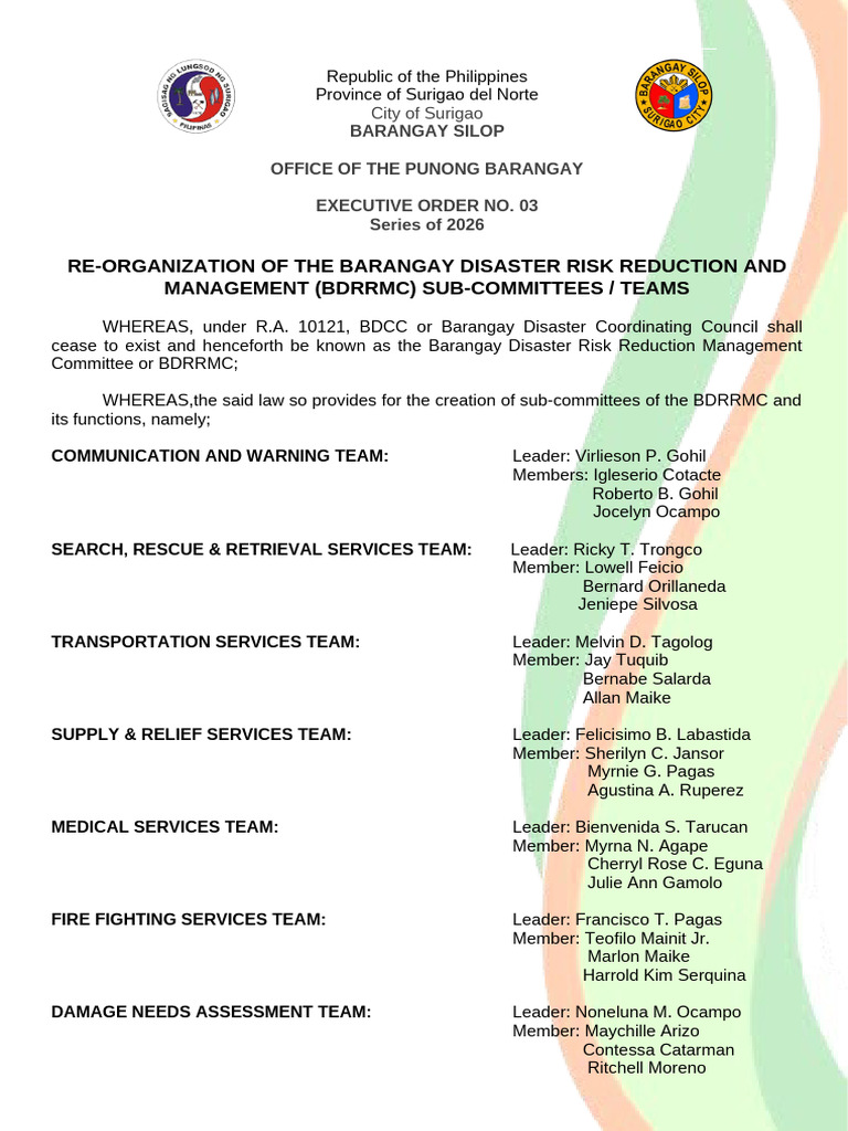 Barangay Disaster Risk Reduction and Management Sub-Committee | PDF ...