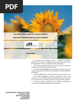 Projetos Educativo e Curricular Do Agrupamento 2011-13