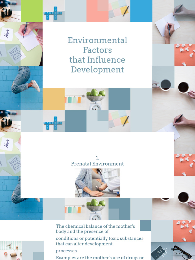 Environmental Factors On Development Presentation | PDF | Family ...
