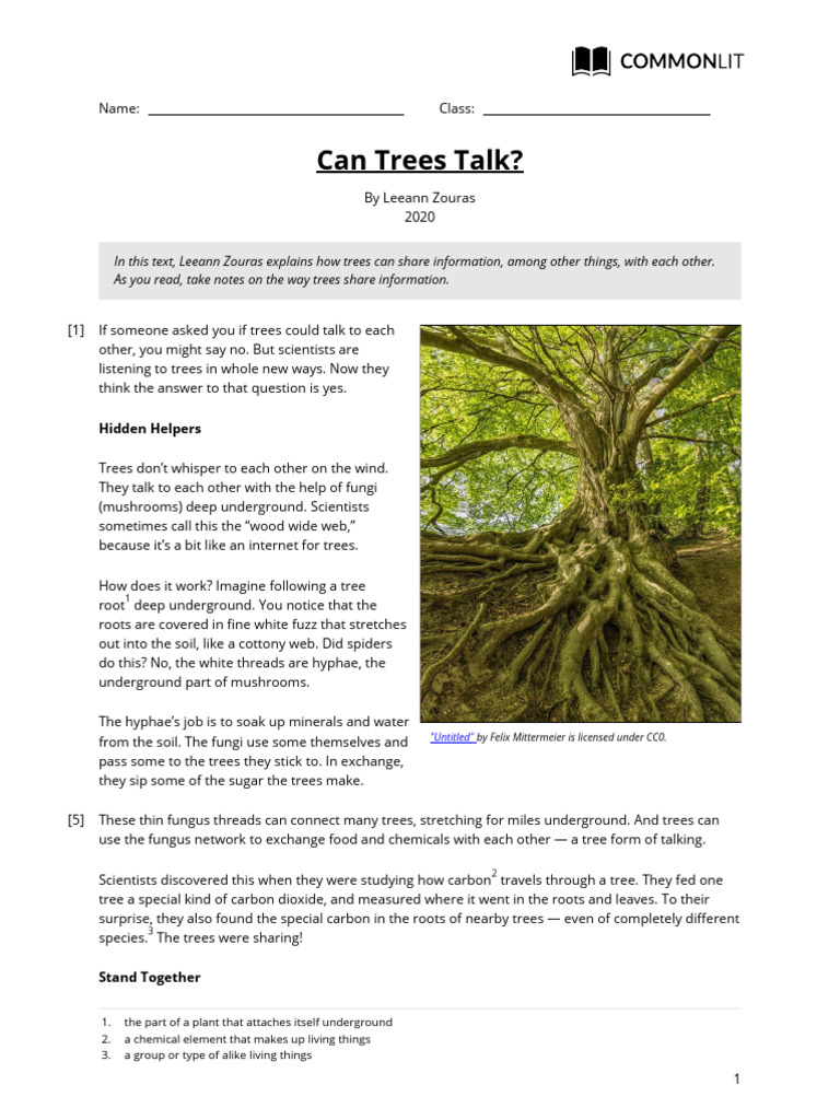 CommonLit - If Trees Could Talk | PDF | Trees | Fungus