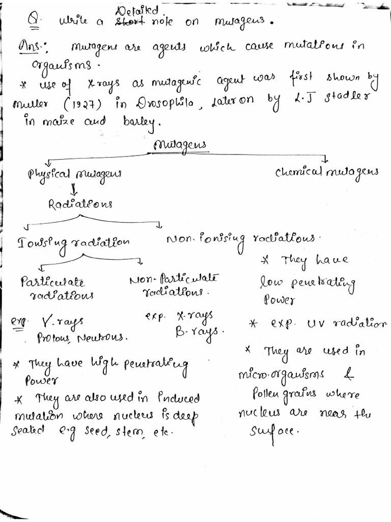 Model 4 | PDF