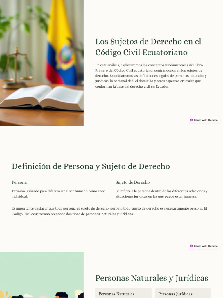 Los Sujetos de Derecho en El Codigo Civil Ecuatoriano | PDF ...