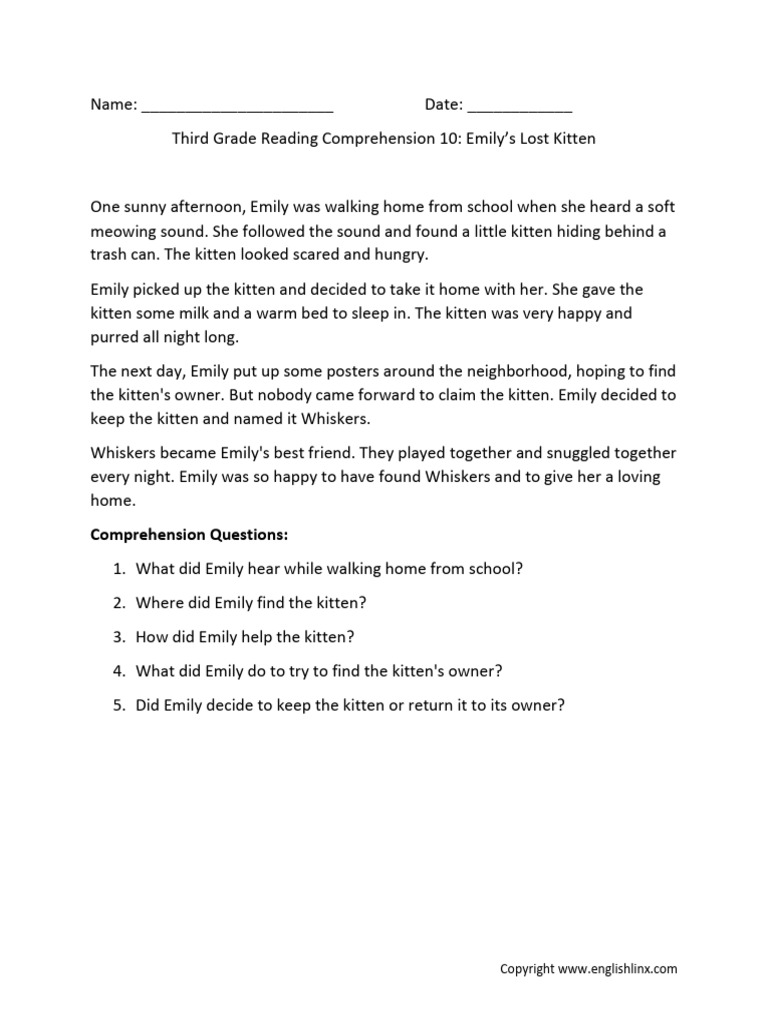 Reading Comprehension Grade 3 Emily Lost Kitten 10 | PDF