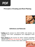 SRP Insurance Narrative Template | PDF
