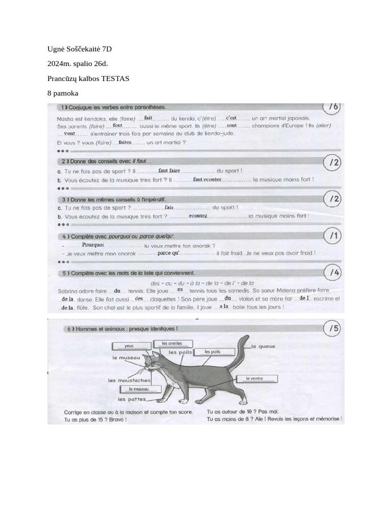 8 Pamokos TESTAs Pracuzu | PDF