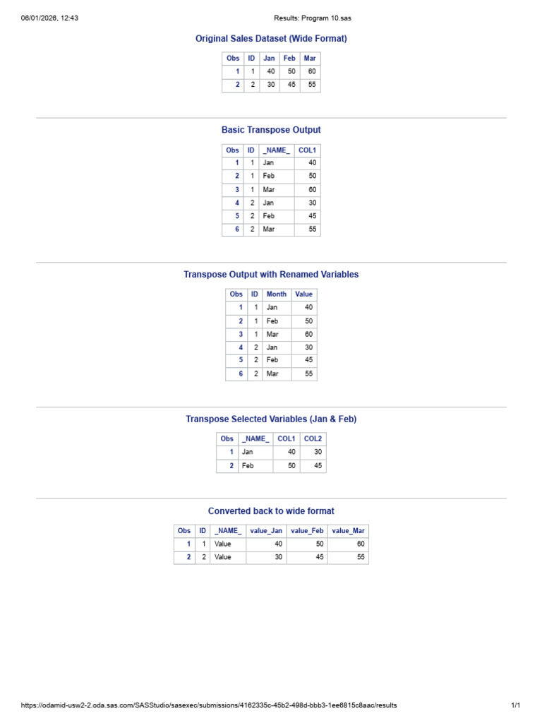 Results - Program 10 Output - Sas | PDF