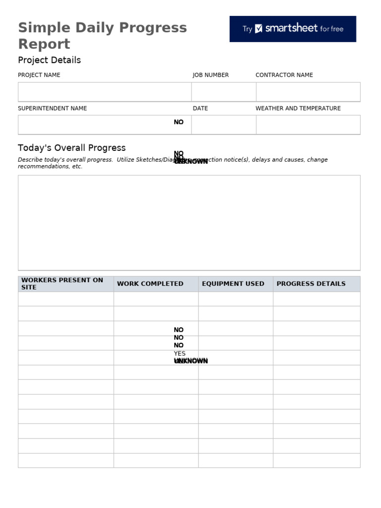 IC Simple Daily Progress Report Template WORD | PDF