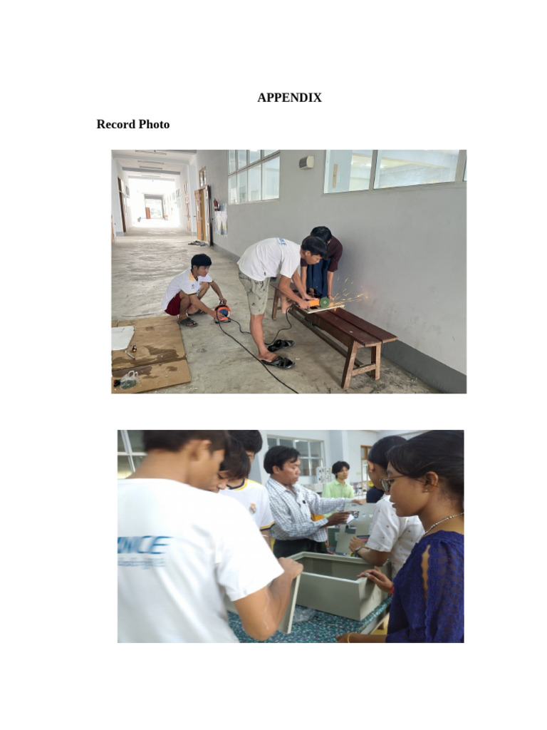 Appendix | PDF