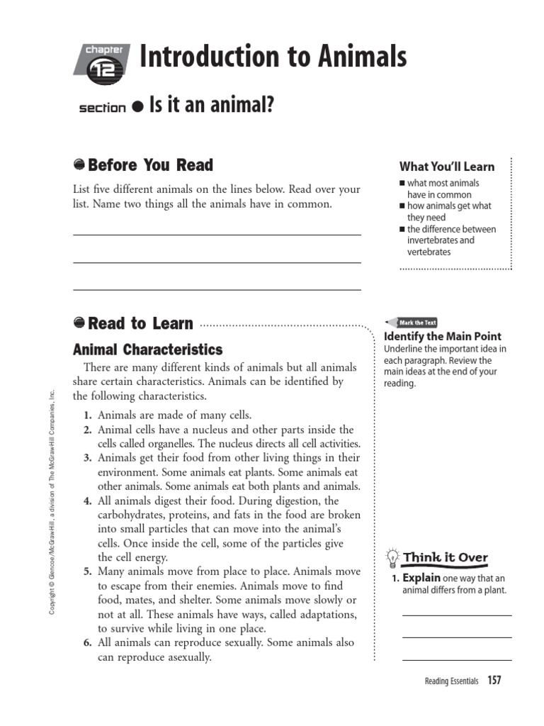 12 Introduction To Animals Part 1 | PDF | Invertebrate | Predation