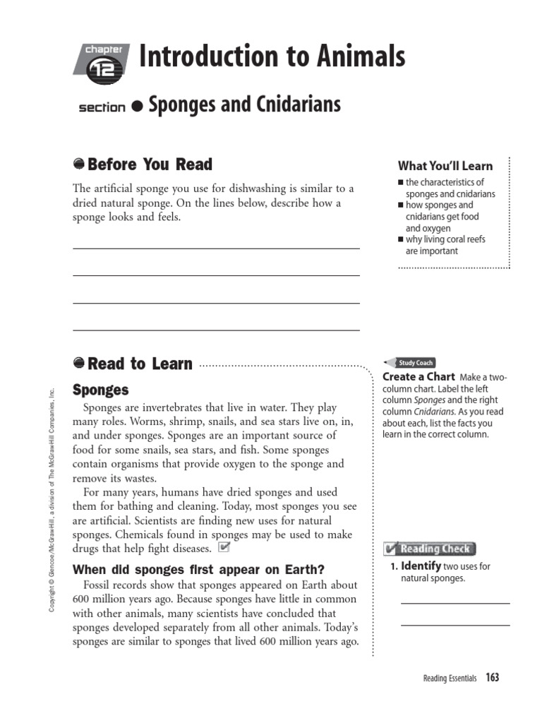 12 Introduction To Animals Part 2 | PDF | Sponge | Coral