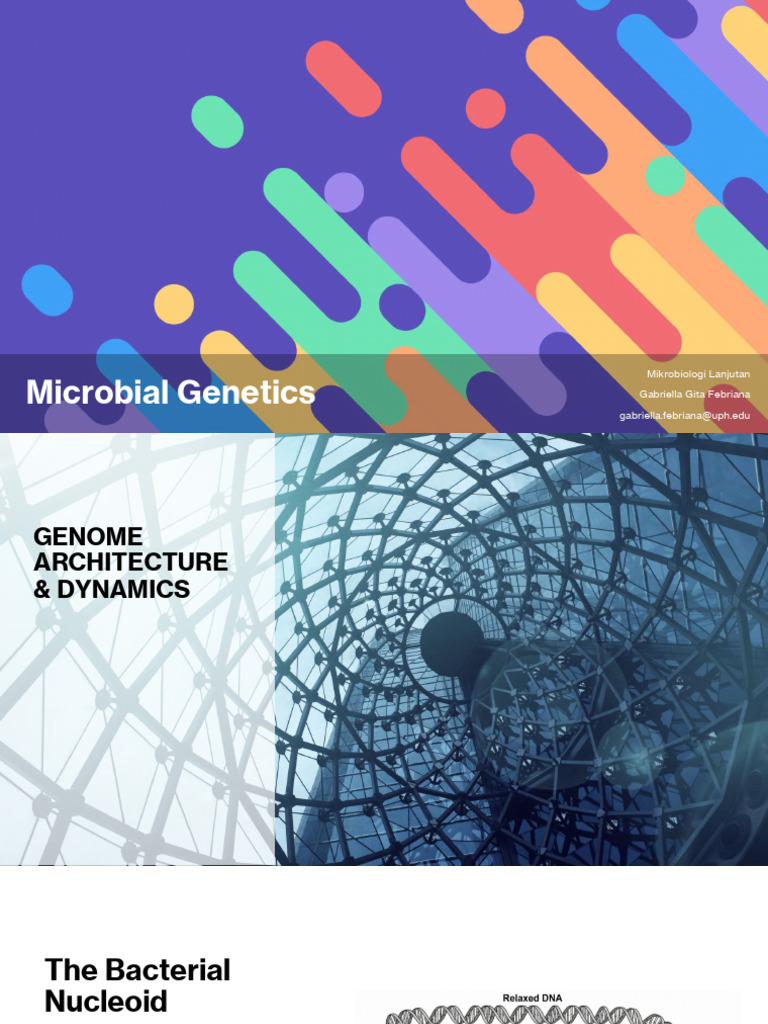 Microbial Genetics | PDF | Dna Replication | Crispr