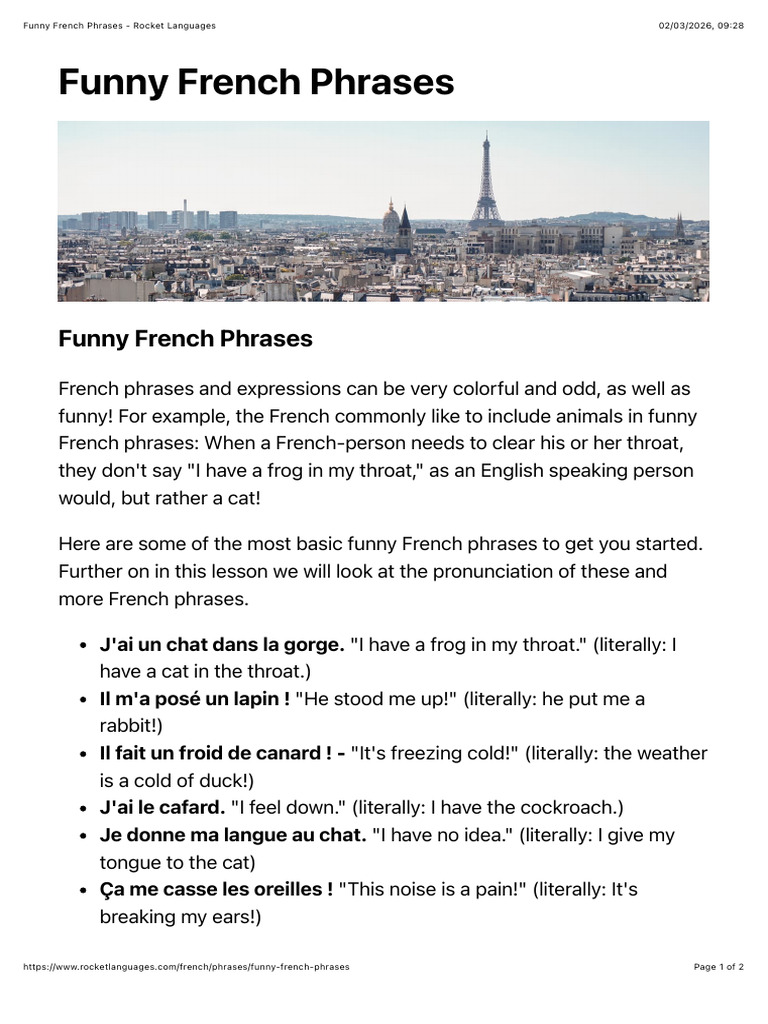 Funny French Phrases - Rocket Languages | PDF