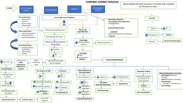 CHRONIC-KIDNEY-DISEASE-pdf (1) .... | PDF | Kidney | Chronic Kidney Disease