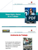 TEMA Nº06 SEGURIDAD Y SALUD TRABAJO