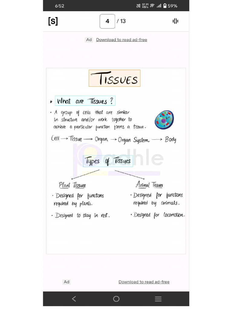 Science Chapter 5 | PDF